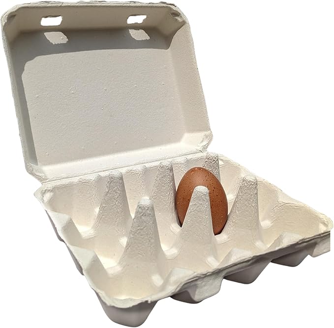 Vintage Egg Cartons for 12 Large Eggs – Classic 3x4 Layout – Durable Recycled Cardboard – Farmhouse Style – Eco-Friendly Packaging (White, 65)