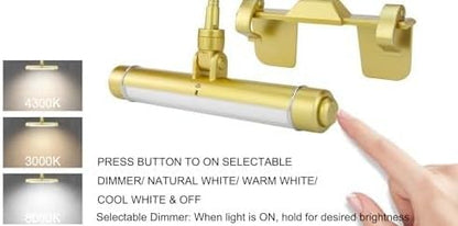 BIGMONAT Wireless Picture Light