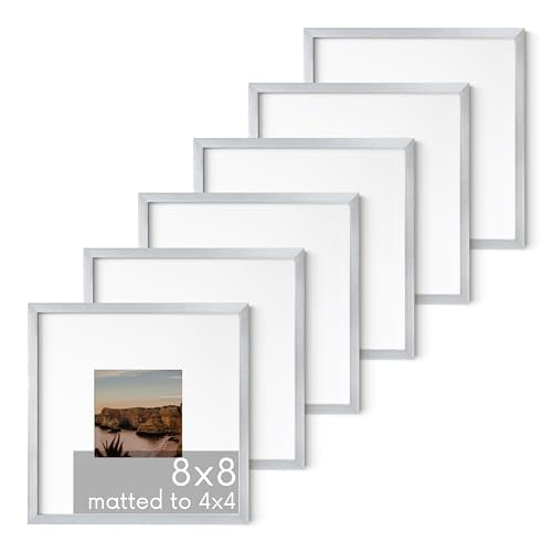 8x8 Silver Metal Picture Frames Matted to 4x4
