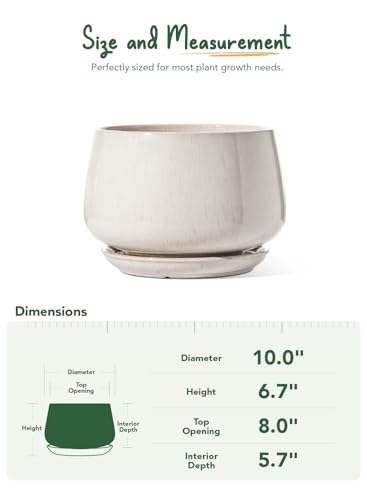 Ceramic Planter