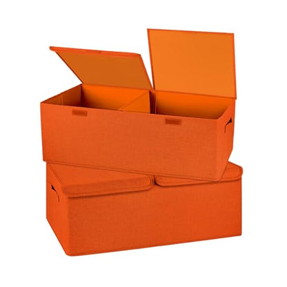 2 Pack Large Storage Boxes with Lids and Handles (2 Count)