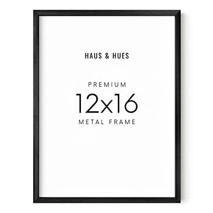 12x16 Black Frame (12 Count)