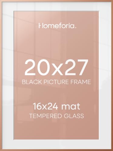 20x27 Rose Picture Frame