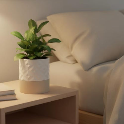 Ceramic Self Watering Plant Pot for Indoor Plants