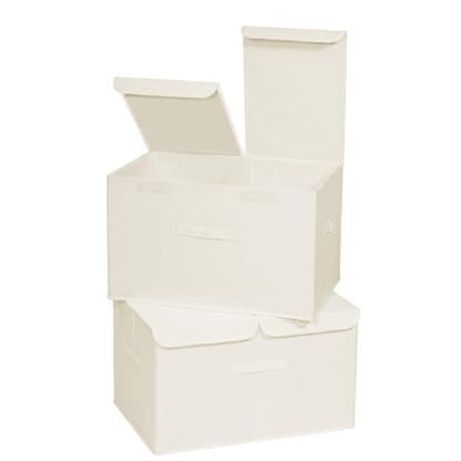 2 Pack Large Storage Boxes with Lids and Handles (2 Count)