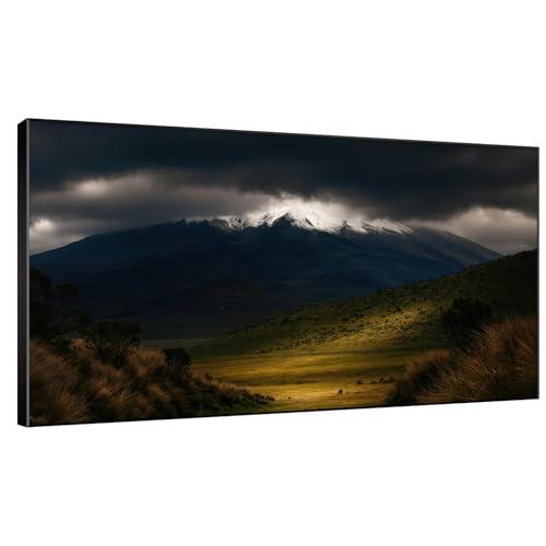 30"x60" Extra Large Framed Wall Art Majestic Snow