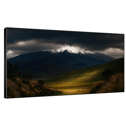 30"x60" Extra Large Framed Wall Art Majestic Snow