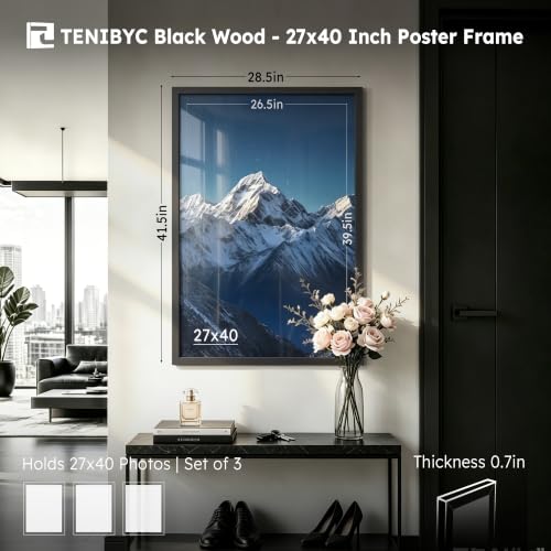27x40 Poster Frame (3 Count)