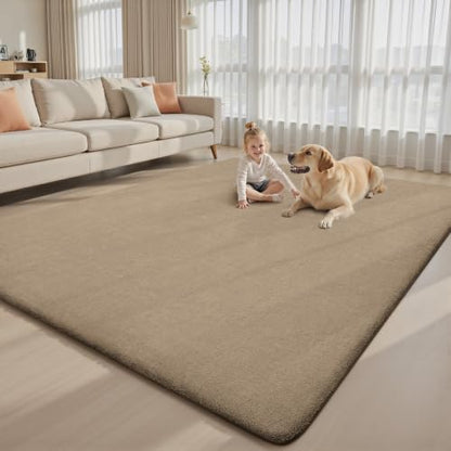 5x7 Area Rugs for Living Room Bedroom