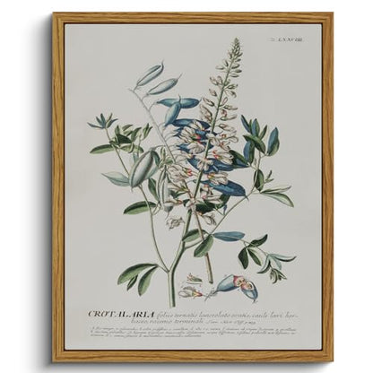 Framed Botanical Wall Art Herb Canvas Prints