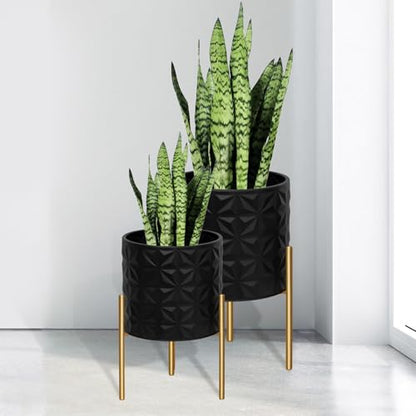 Modern Planter Pots (2 Count)
