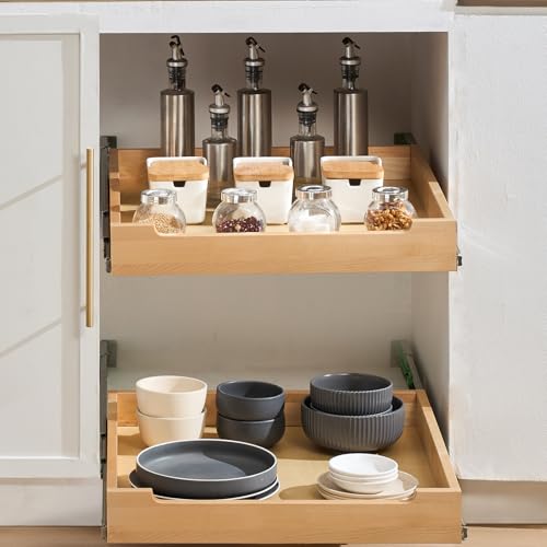 Pull Out Cabinet Organizer