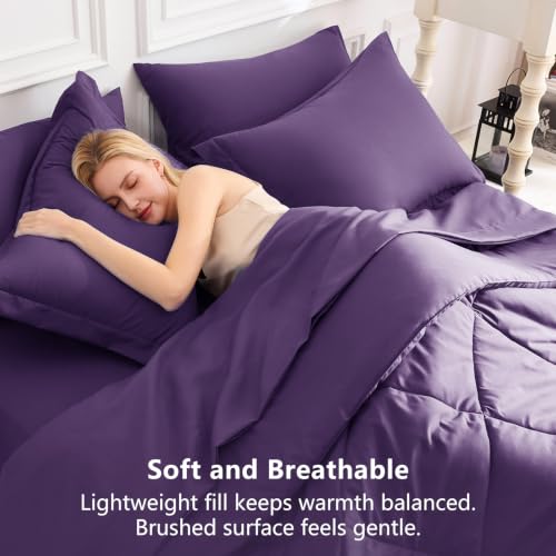 Queen Comforter Set with Sheets Purple