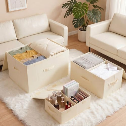2 Pack Large Storage Boxes with Lids and Handles (2 Count)