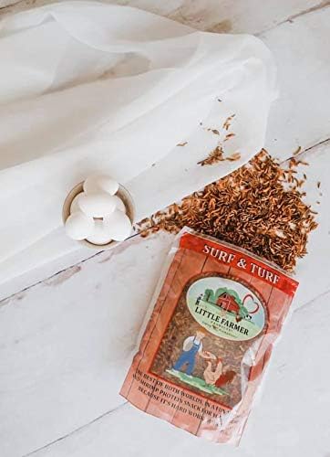 Surf & Turf | Dried River Shrimp & Mealworm Chicken Treat Premium Poultry Mix | 3 lb