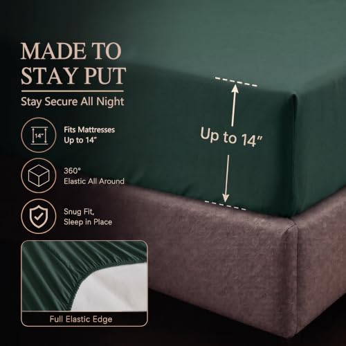 Queen Comforter Set Forest Green