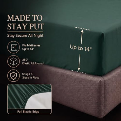 Queen Comforter Set Forest Green