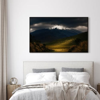 30"x60" Extra Large Framed Wall Art Majestic Snow