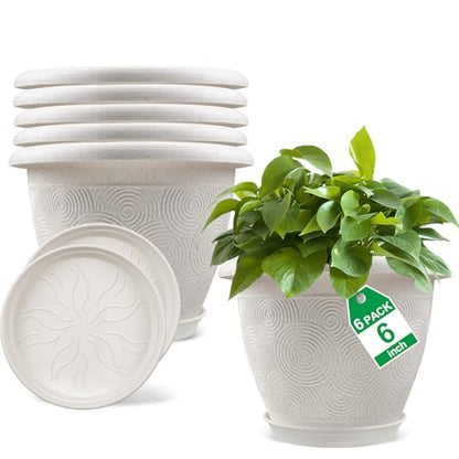 6 Inch Flower Pots Planters for Indoor Outdoor Plants
