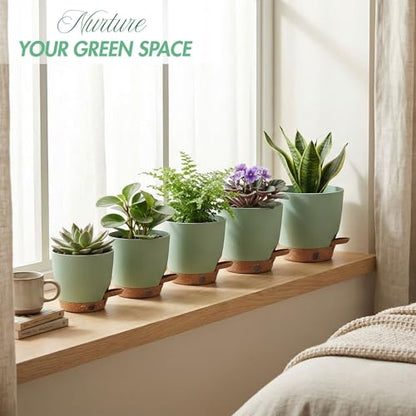 5 Pack Green 5 (5 Count)