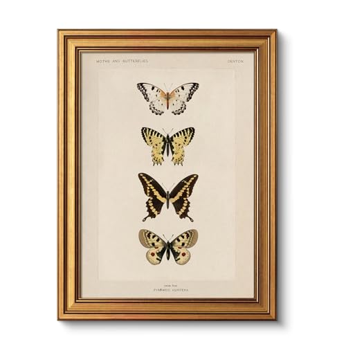 Vintage Gold Framed Butterfly Wall Art (4 Count)