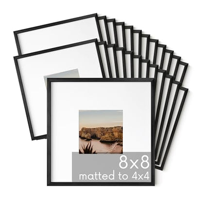 8x8 Black Metal Picture Frames Matted to 4x4