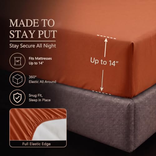 Queen Comforter Set Burnt Orange