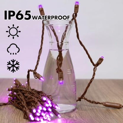 25FT Purple Halloween String Lights (50 Count)