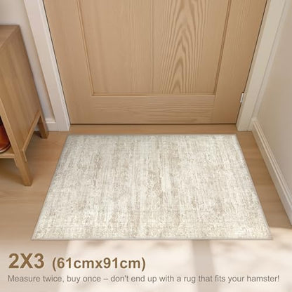 2x3 Entryway Area Rug