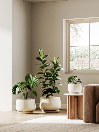 Ceramic Planter
