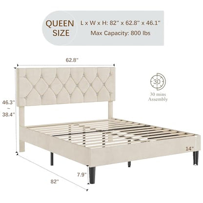 Queen Size Bed Frame with Diamond Tufted Headboard