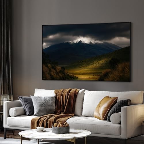 30"x60" Extra Large Framed Wall Art Majestic Snow