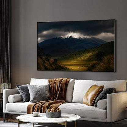 30"x60" Extra Large Framed Wall Art Majestic Snow