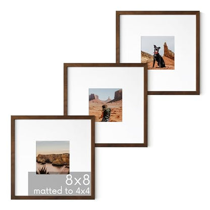 Walnut Square Frames 8" x 8" Matted to 4" x 4" (3 Count)