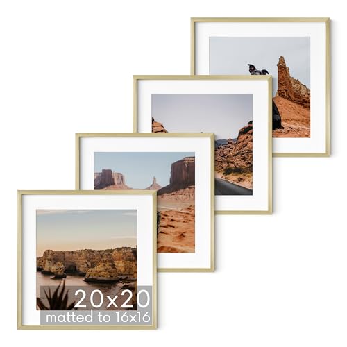 20x20 Gold Metal Picture Frames Matted to 16x16