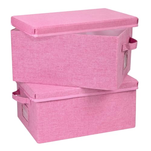 Storage Bins With Lids Closet Organizer Cabinet Box For Clothes (2 Count)