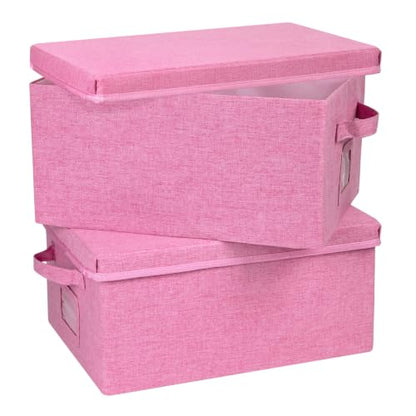 Storage Bins With Lids Closet Organizer Cabinet Box For Clothes (2 Count)
