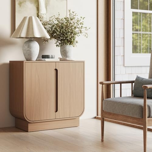 Joey Mid Century Modern Storage Cabinet