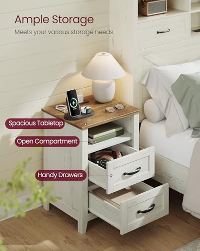 Set of 2 Nightstands with 2 Drawers and Charging Station (2 Count)