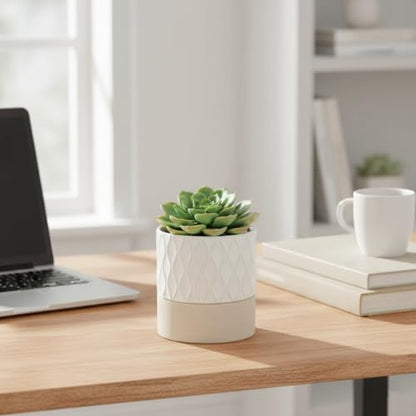 Ceramic Self Watering Plant Pot for Indoor Plants