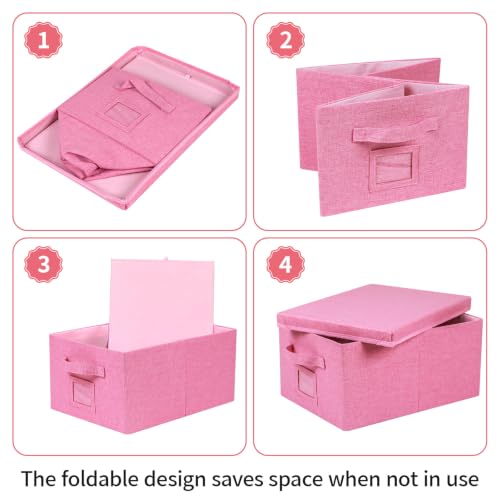 Storage Bins With Lids Closet Organizer Cabinet Box For Clothes (2 Count)
