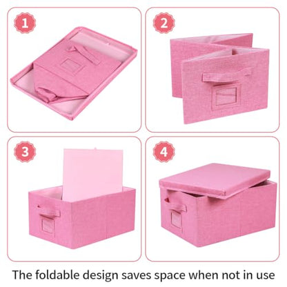 Storage Bins With Lids Closet Organizer Cabinet Box For Clothes (2 Count)