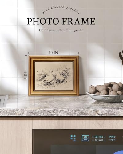Vintage Gold Framed Wall Art