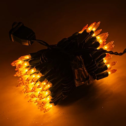Christmas Lights (21 Foot)