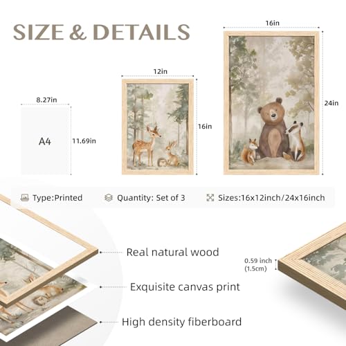 Woodland Animals Wall Art Set of 3 (3 Count)