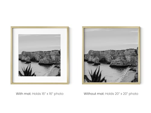 20x20 Gold Metal Picture Frames Matted to 16x16