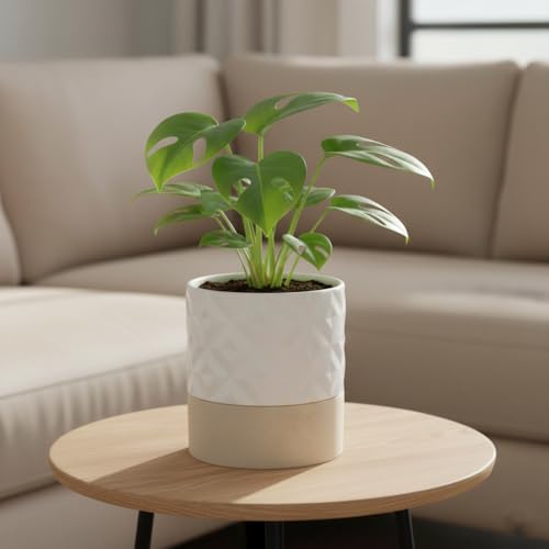 Ceramic Self Watering Plant Pot for Indoor Plants