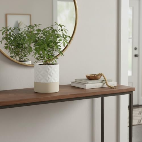 Ceramic Self Watering Plant Pot for Indoor Plants