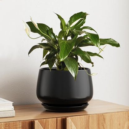 Ceramic Planter