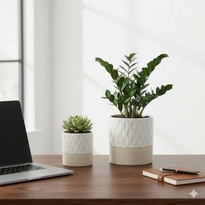 Ceramic Self Watering Plant Pot for Indoor Plants